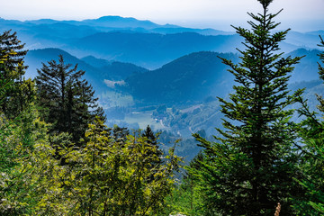View down of a mountain in Black Forest / Schwarzwald, Germany