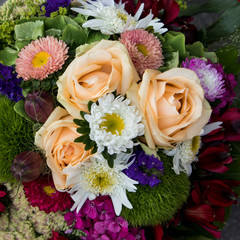 the Bridal bouquet of, asters and orange roses, blue bells, green protea and carnations for sale