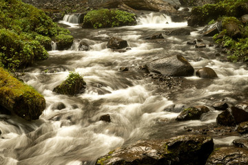 Latourell Falls Rapids
