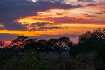 Fototapeta na wymiar Sunrise over African Plain