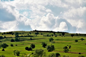 a hill with green grass and sparse trees