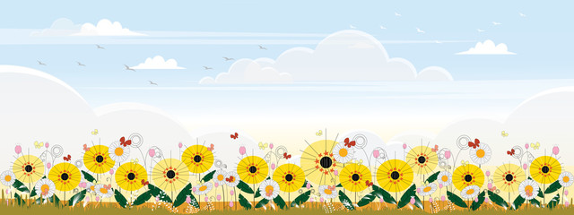 Cute cartoon panorama landscape of Sunflower field and butterfly flying with blue sky background, illustration of beautiful natural landscape of flowers farm field in yellow foliage. © Anchalee