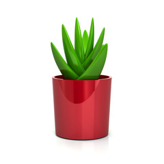 Succulent in red Plant Pot Icon 3d Illustration isolated on white background