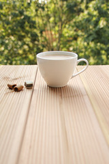 white cup with cappuccino and sweets on a light wooden table against a green summer garden, close-up, copy space