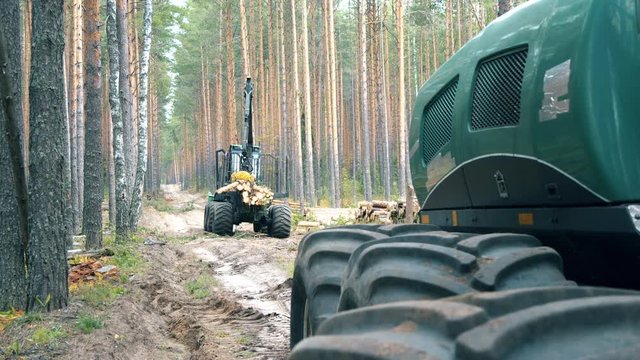 Forest harvester is relocating felled timber