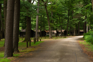 Cabins in the forest