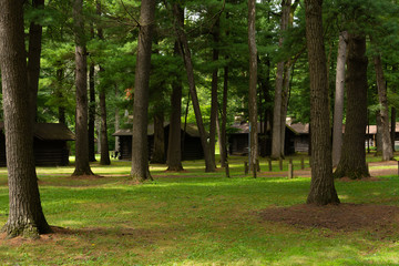 Cabins in the forest