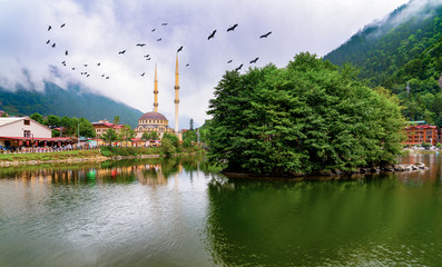 Panoramic view of Uzungol which is a tourist attraction in Trabzon, Turkey. Uzungol with stork...