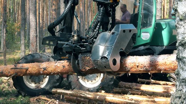 Industrial mechanism is cutting a tree trunk