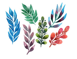 A set of twigs with leaves of different plants and different colors. Watercolor on white background.