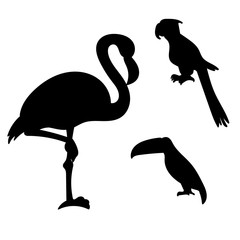 Set of vector tropical birds. Silhouette of flamingo, parrot and toucan