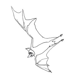 The sketch of the bat.
