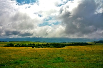Obraz premium a field with grass and a cloudy sky