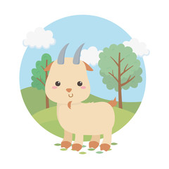 Obraz na płótnie Canvas cute goat animal farm character