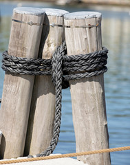 Old Pilling with rope on New England Harbor
