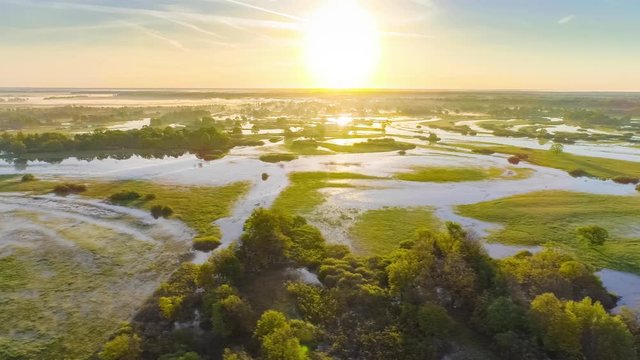 Floodplain of the river Prypyat in spring