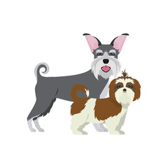 cute and adorable dogs on white background