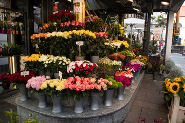Selection of various flowers on the street in the historical center of Vienna