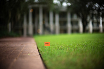 Cable telecom line stake flag buried underground utility