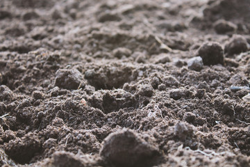 Black soil in the garden. Close-up. Background. Texture.