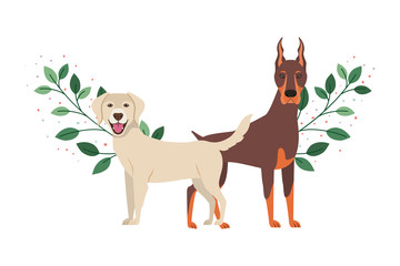 cute and adorable dogs on white background