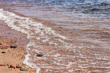 empty sand stone waterfront background with shallow transparent water of Red sea local scenic landscape 