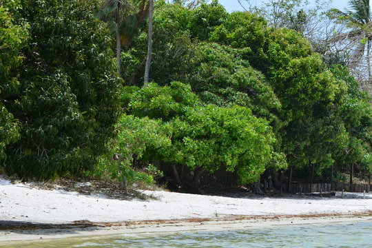 lagoa do paraiso - jeri