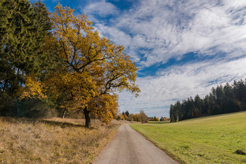 Autumnal nature with meadows and forests beautiful panorama calm day.