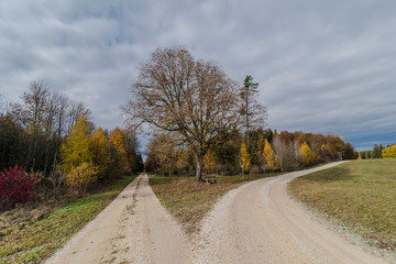Autumnal nature with meadows and forests beautiful panorama calm day.