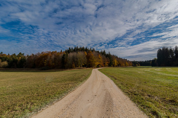Fototapeta na wymiar Autumnal nature with meadows and forests beautiful panorama calm day.