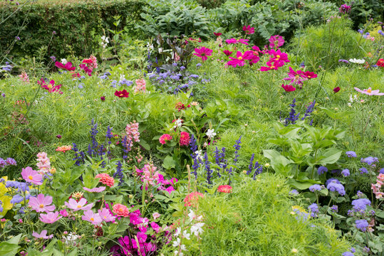 Blumenbeet mit rosa, lila und blauen Blumen
