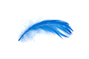 Blue fluffy feather soft isolated on the white studio background