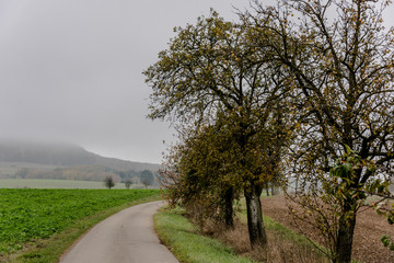 Autumnal nature with meadows and forests beautiful panorama calm day.