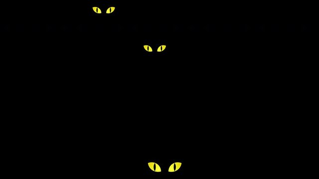 Many black cat yellow eyes blink in dark night seamless looping movement for using as background and content about cat, or scary product or product of Halloween holiday festival. 