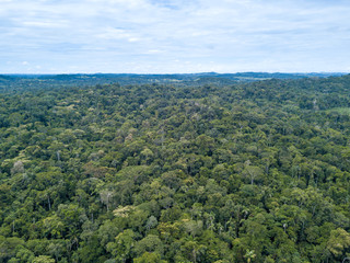 Fototapeta na wymiar Beautiful drone aerial view of tree tops of brazilian amazon rainforest in summer sunny day. Concept of conservation, ecology, biodiversity, global warming, environment and climate change.