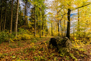 Obraz premium beautiful landscape in the nature. Trees fields and no people.