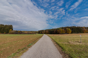 Naklejka premium beautiful landscape in the nature. Trees fields and no people.