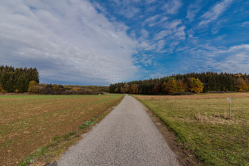 beautiful landscape in the nature. Trees fields and no people.