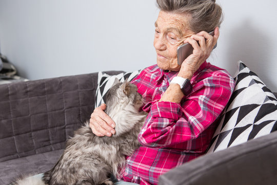 Theme Old Person Uses Technology. Mature Contented Joy Smile Active Gray Hair Caucasian Wrinkles Woman Sitting Home Living Room On Sofa With Fluffy Cat Using Mobile Phone, Calling And Talking Phone