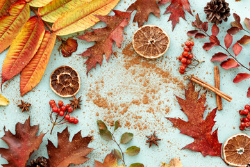 Flat lay autumn leaves, background, colorful autumn leaves.