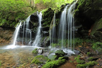 Obraz premium 猿壺の滝