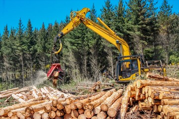 Harvester Processing Pine