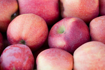 Apple  close pattern