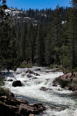 Yuba River Summer 2019.002