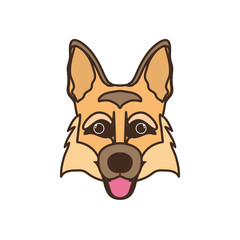 head of cute pastor aleman dog on white background