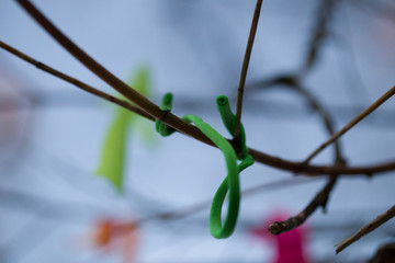Macro colored ribbon on sunset