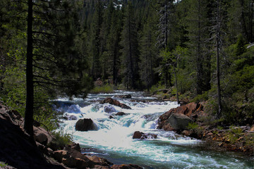 Yuba River Summer 2019.003