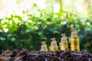 Financial loan concept. A money bag on stack of coins on soil with nature background.