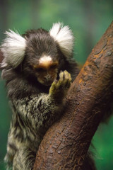 Studying of the hand