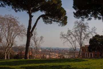Panorama Rome from the hill
